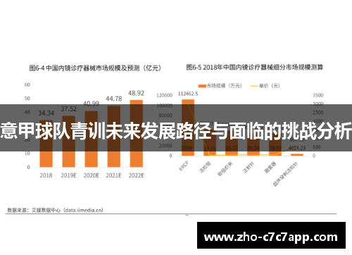 意甲球队青训未来发展路径与面临的挑战分析