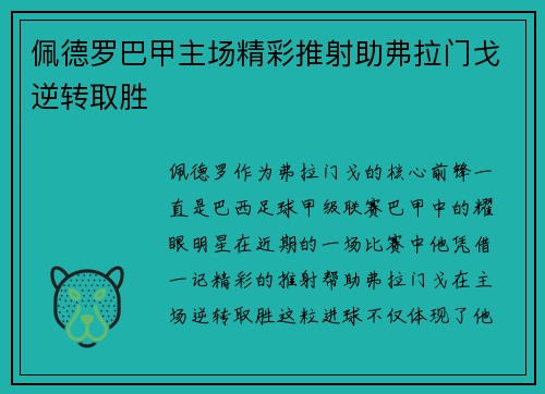 佩德罗巴甲主场精彩推射助弗拉门戈逆转取胜